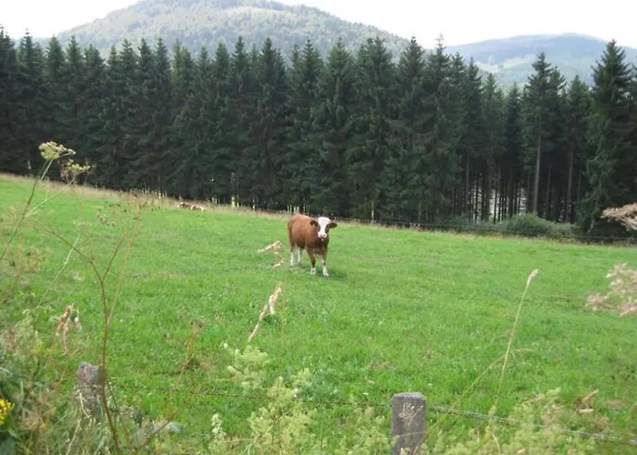 Kleine Auszeit Appartement